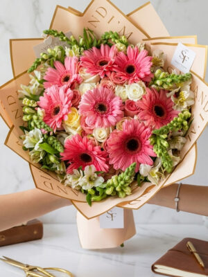 Gerbera Mixta