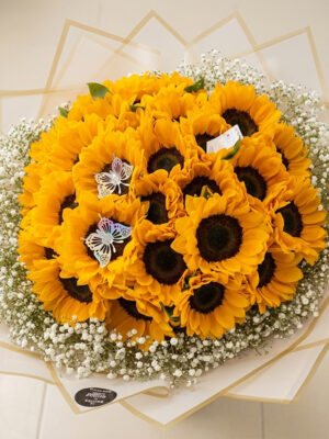 20 Girasol