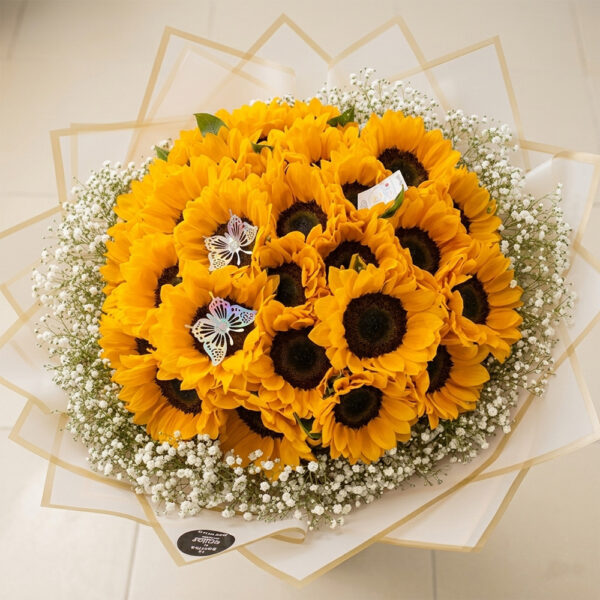 20 Girasol
